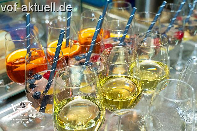 Foto Laudi_Neujahrskonzert_VOF-9.jpg